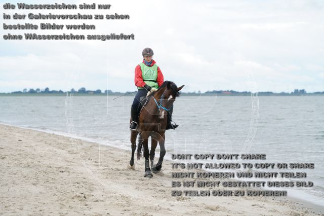 s_K3F04966.JPG